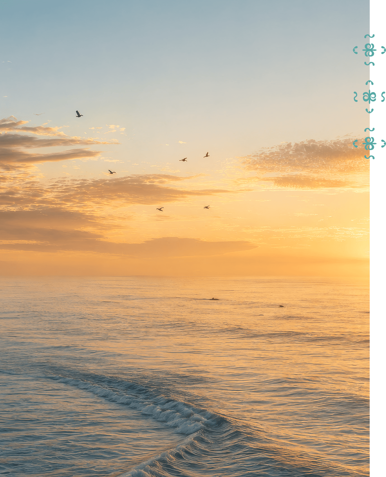 Golden sunset over a calm ocean with birds in the distance